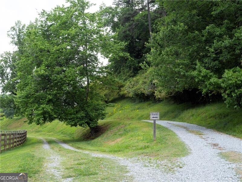 619 Hamp Mill Road Dahlonega - Photo 10