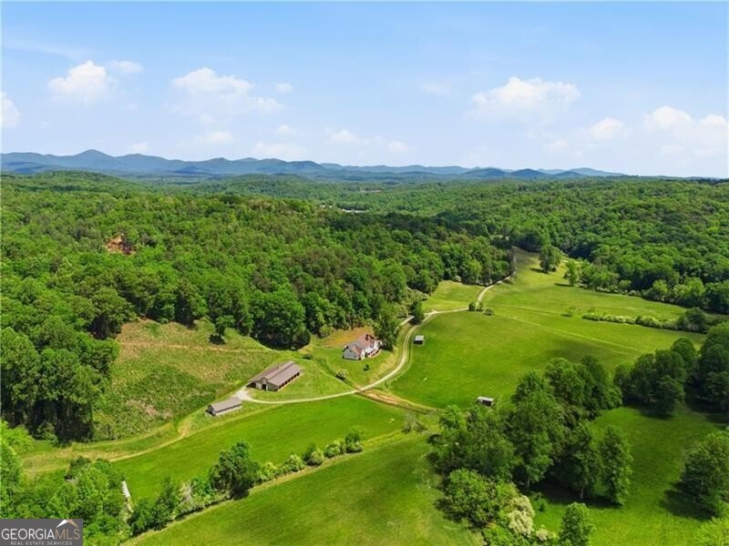 619 Hamp Mill Road Dahlonega - Photo 101
