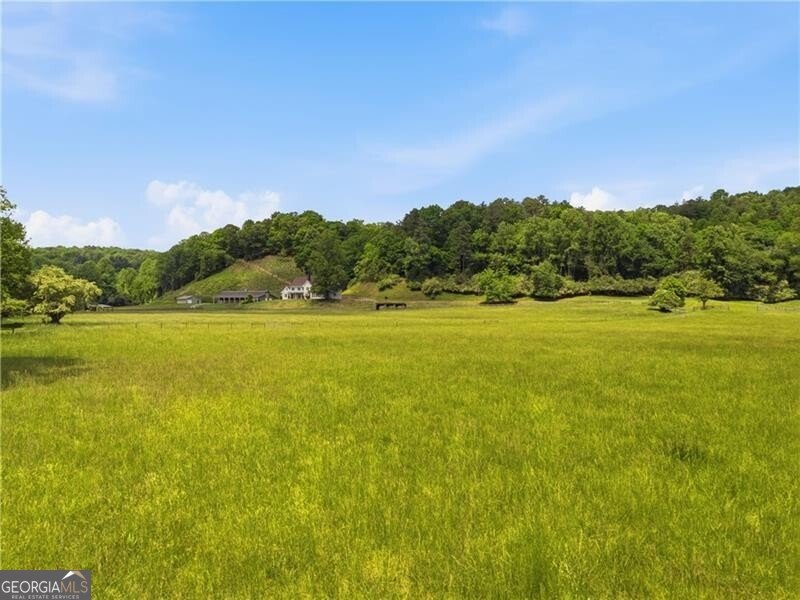 619 Hamp Mill Road Dahlonega - Photo 107