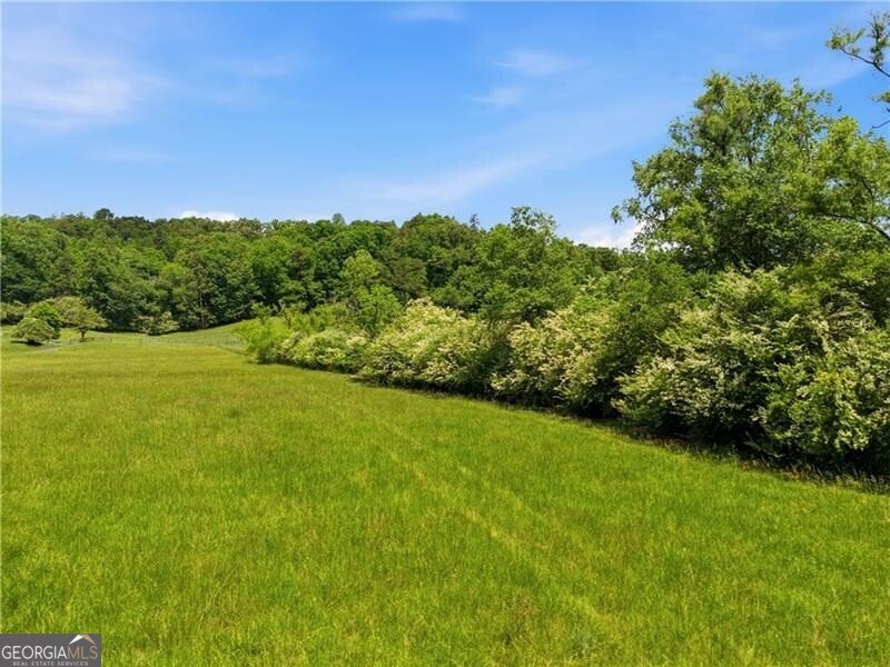 619 Hamp Mill Road Dahlonega - Photo 108