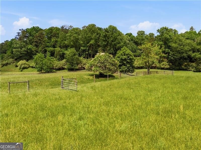 619 Hamp Mill Road Dahlonega - Photo 109