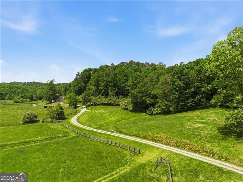 619 Hamp Mill Road Dahlonega - Photo 111