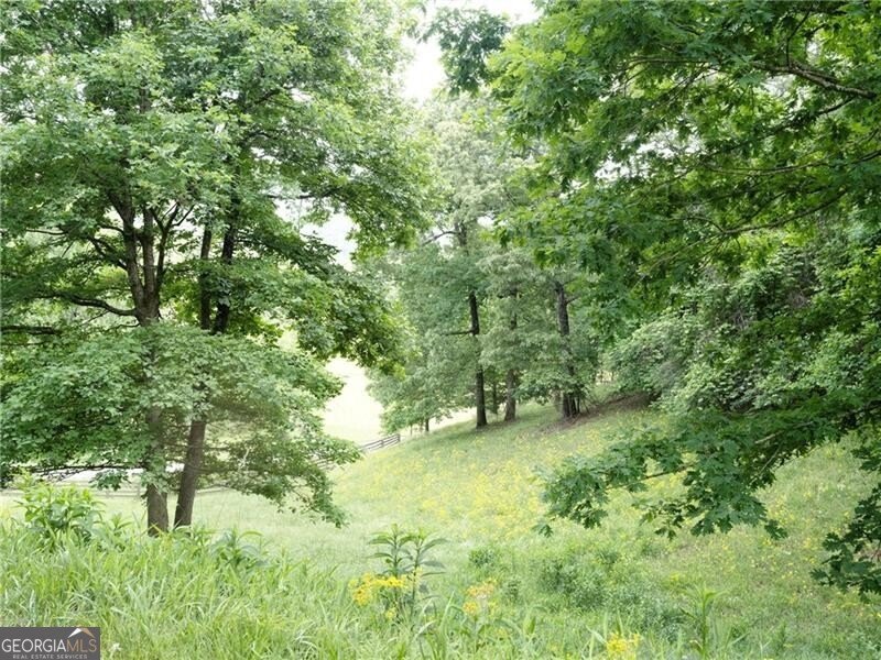 619 Hamp Mill Road Dahlonega - Photo 112
