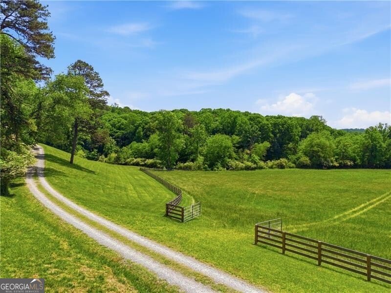 619 Hamp Mill Road Dahlonega - Photo 114