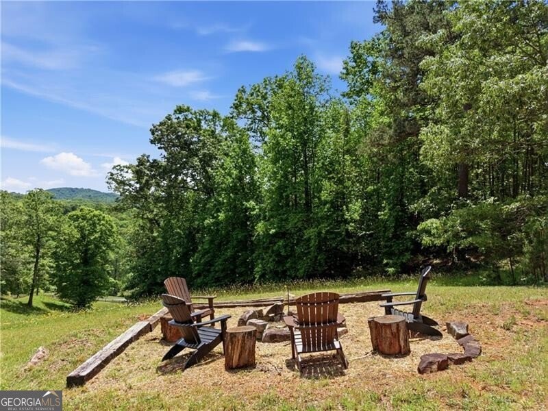 619 Hamp Mill Road Dahlonega - Photo 116