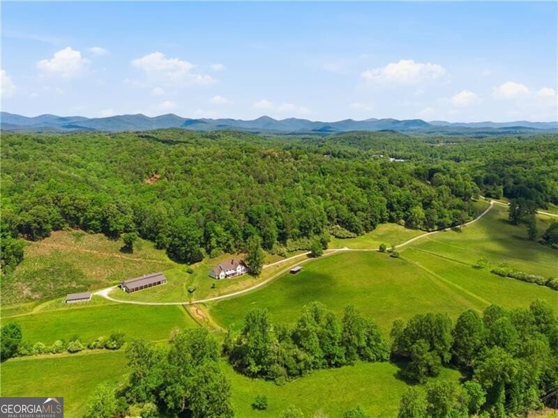 619 Hamp Mill Road Dahlonega - Photo 118
