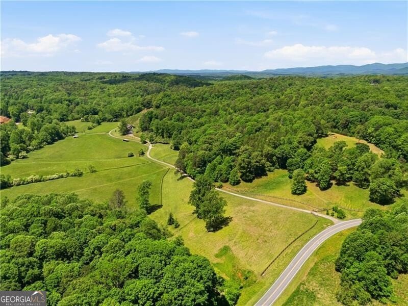 619 Hamp Mill Road Dahlonega - Photo 2