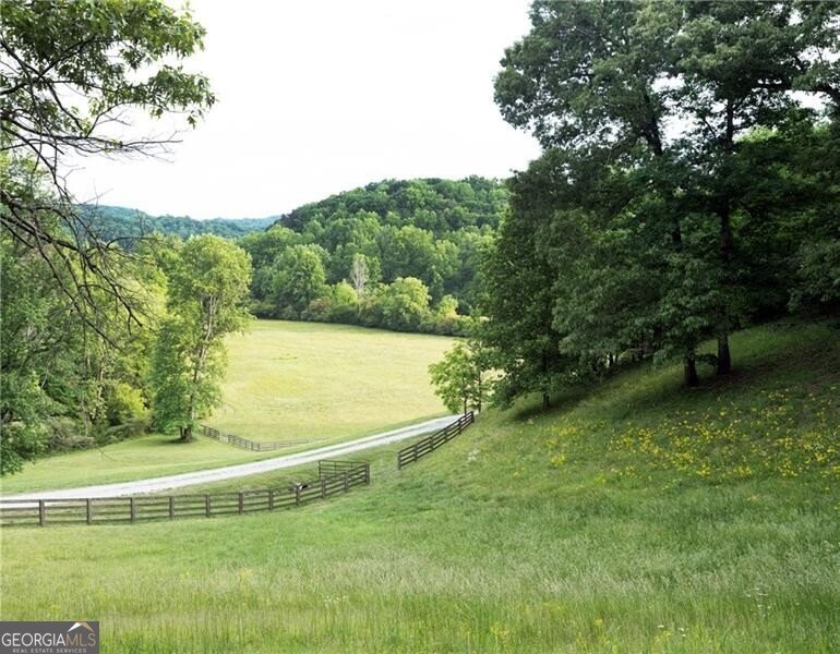 619 Hamp Mill Road Dahlonega - Photo 3