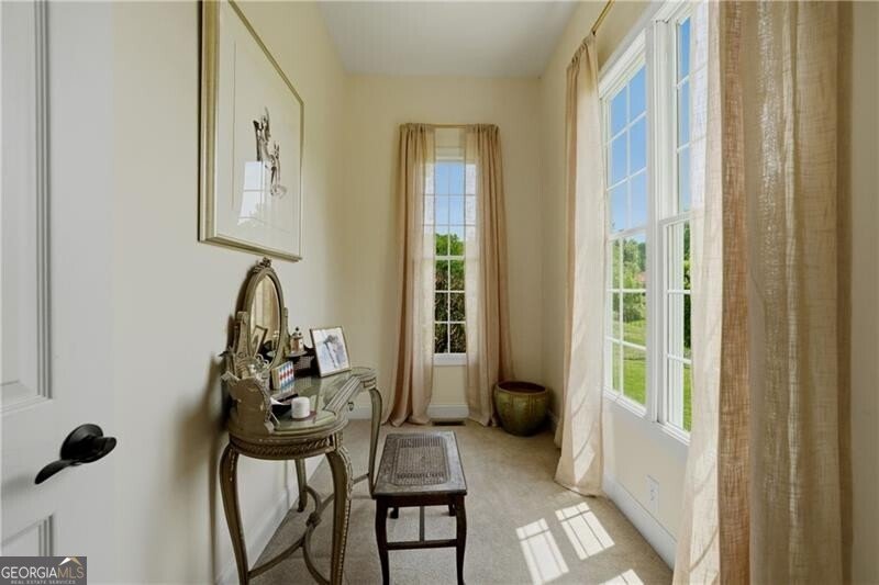 619 Hamp Mill Road Dahlonega - Photo 51