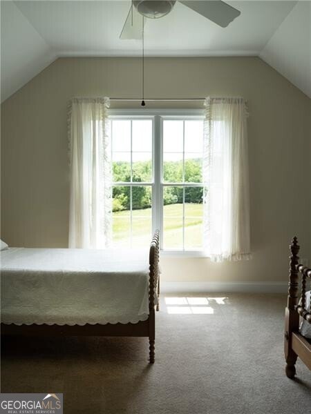 619 Hamp Mill Road Dahlonega - Photo 66