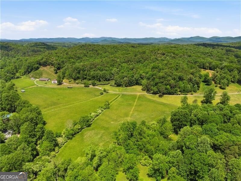 619 Hamp Mill Road Dahlonega - Photo 95