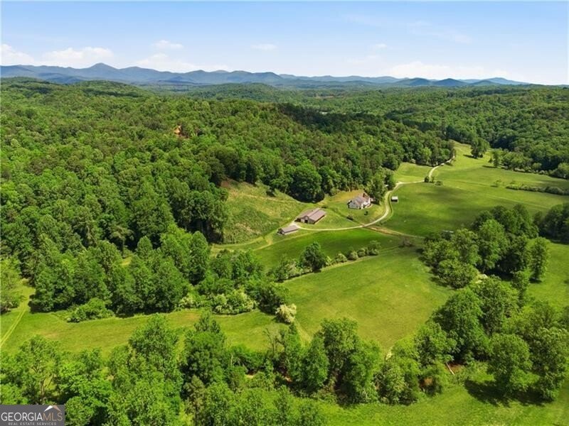619 Hamp Mill Road Dahlonega - Photo 97