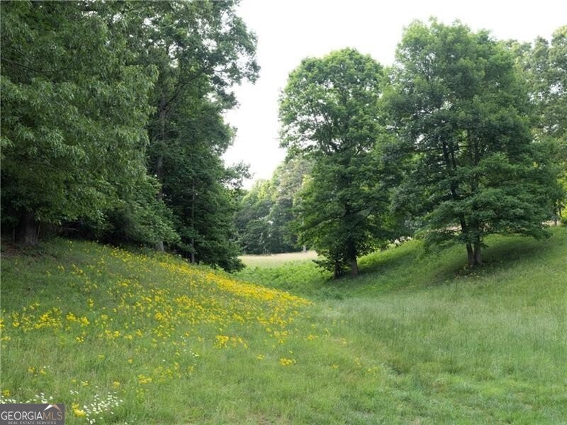 619 Hamp Mill Road Dahlonega - Photo 98
