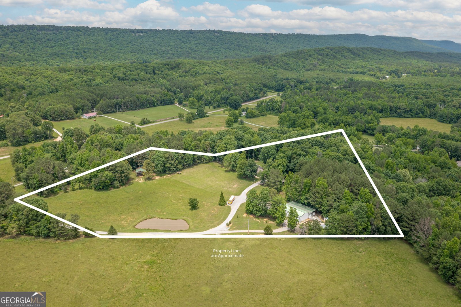 3900 County Road 15 Gaylesville - Photo 44