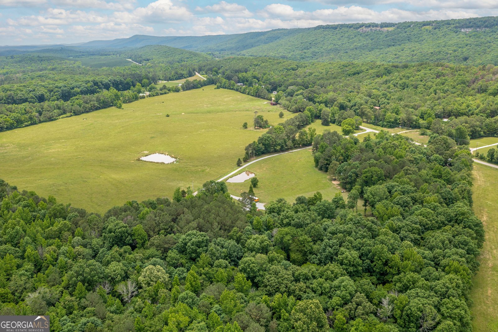 3900 County Road 15 Gaylesville - Photo 46