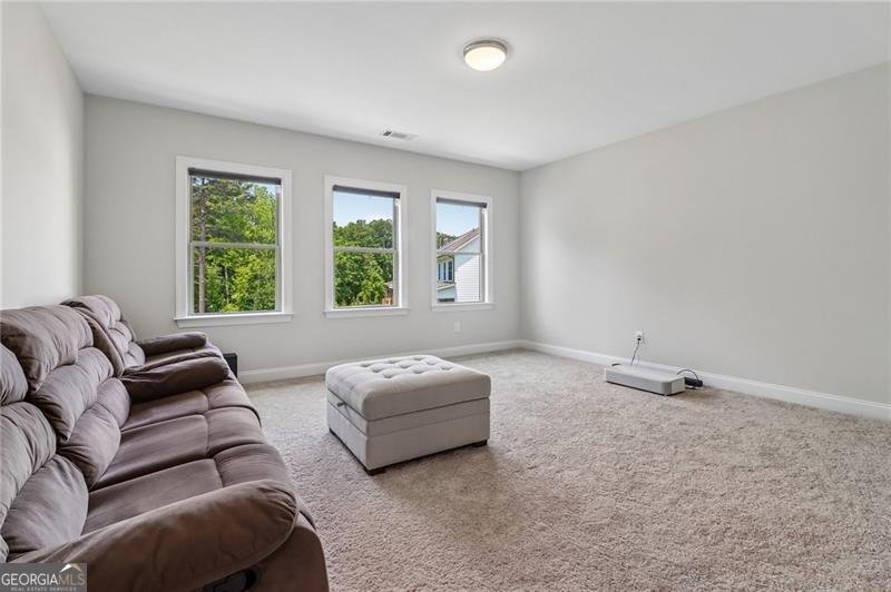 3836 Alice Lane Suwanee - Photo 48