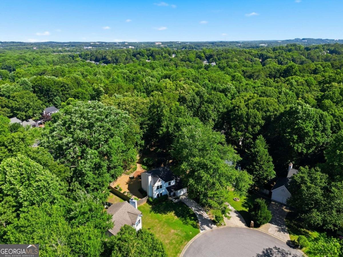 10520 Virginia Pine Lane Alpharetta - Photo 43