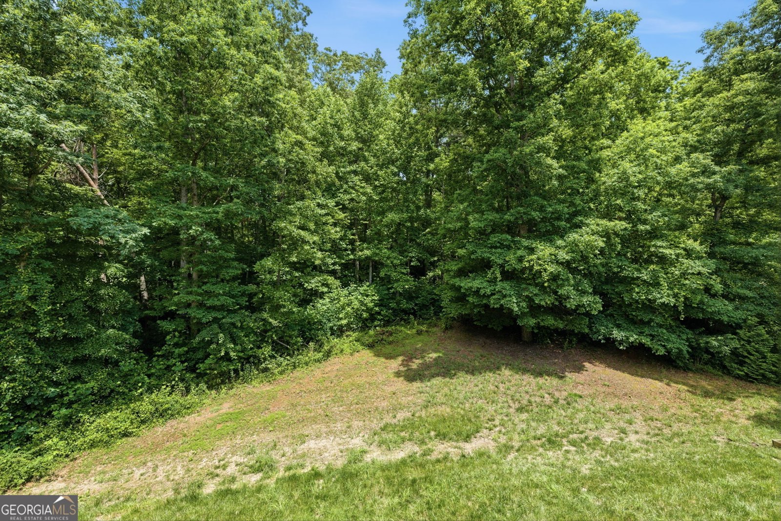119 Abbington Way Clarkesville - Photo 24