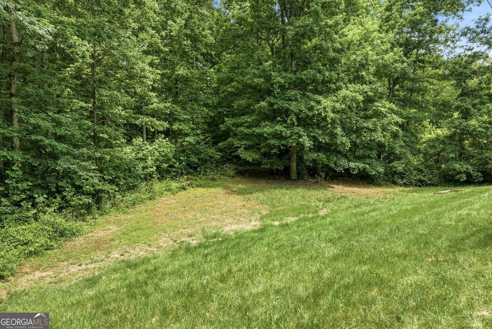 119 Abbington Way Clarkesville - Photo 41