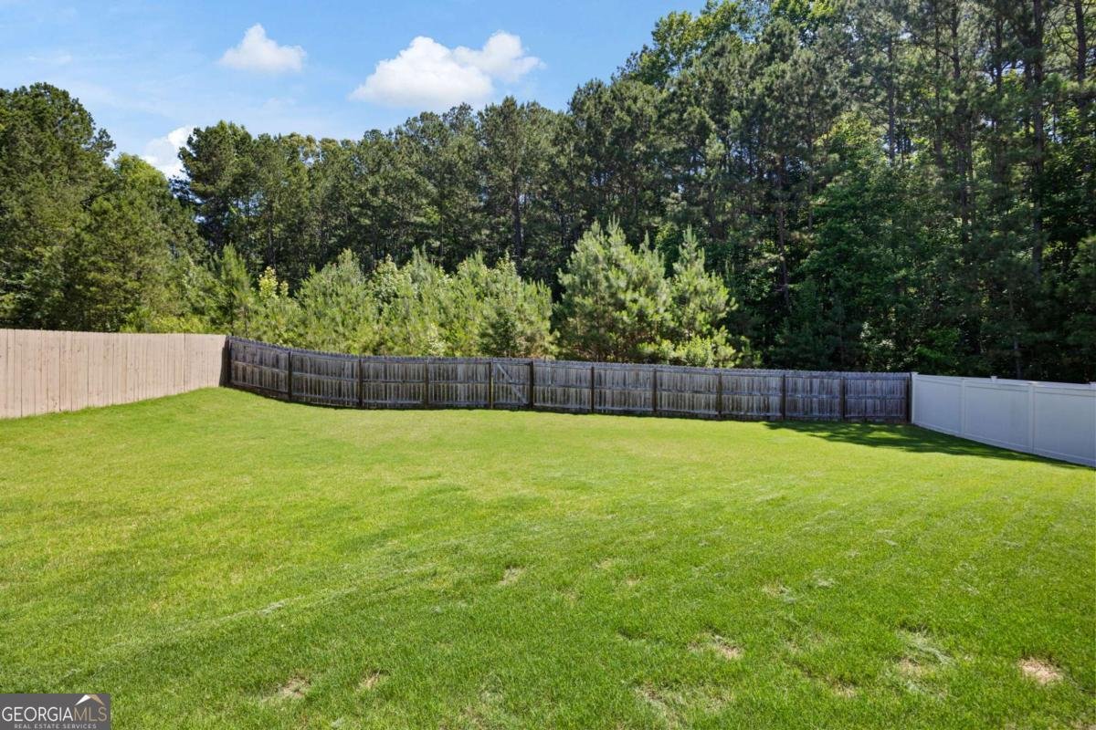 93 Ivey Township Drive Dallas - Photo 41