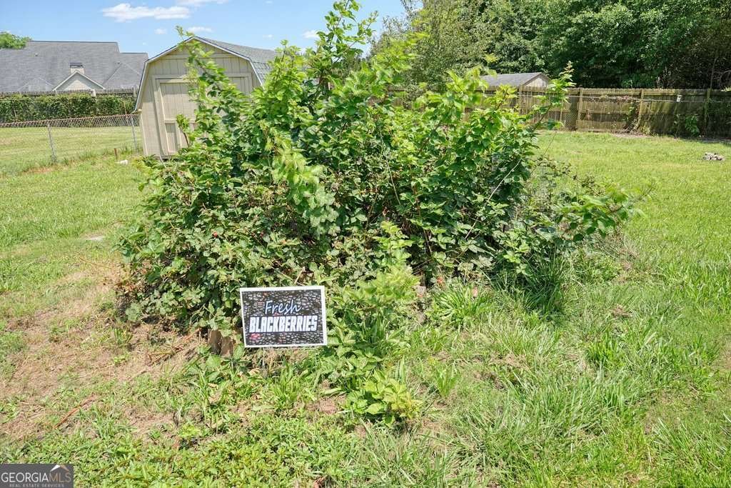 161 Pine Valley Drive Powder Springs - Photo 31
