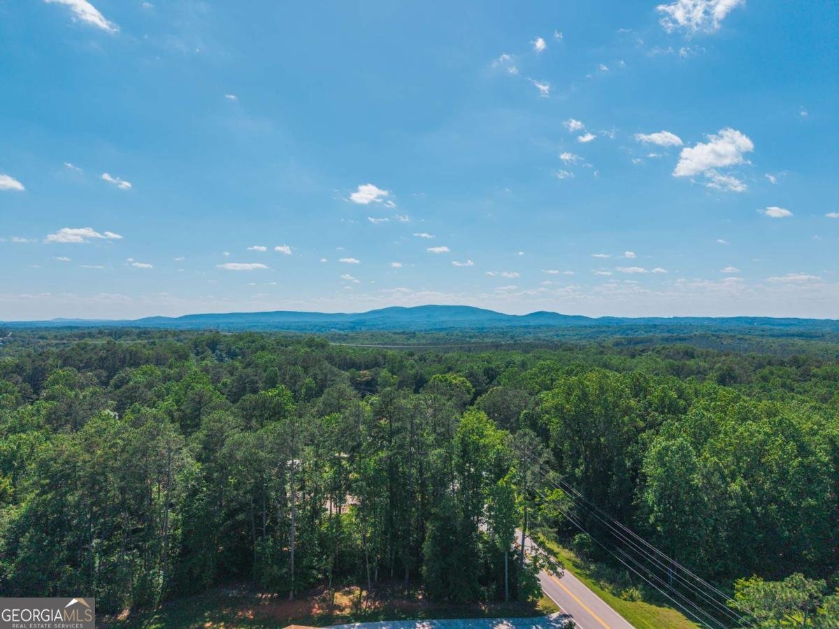 2380 Land Road Canton - Photo 37