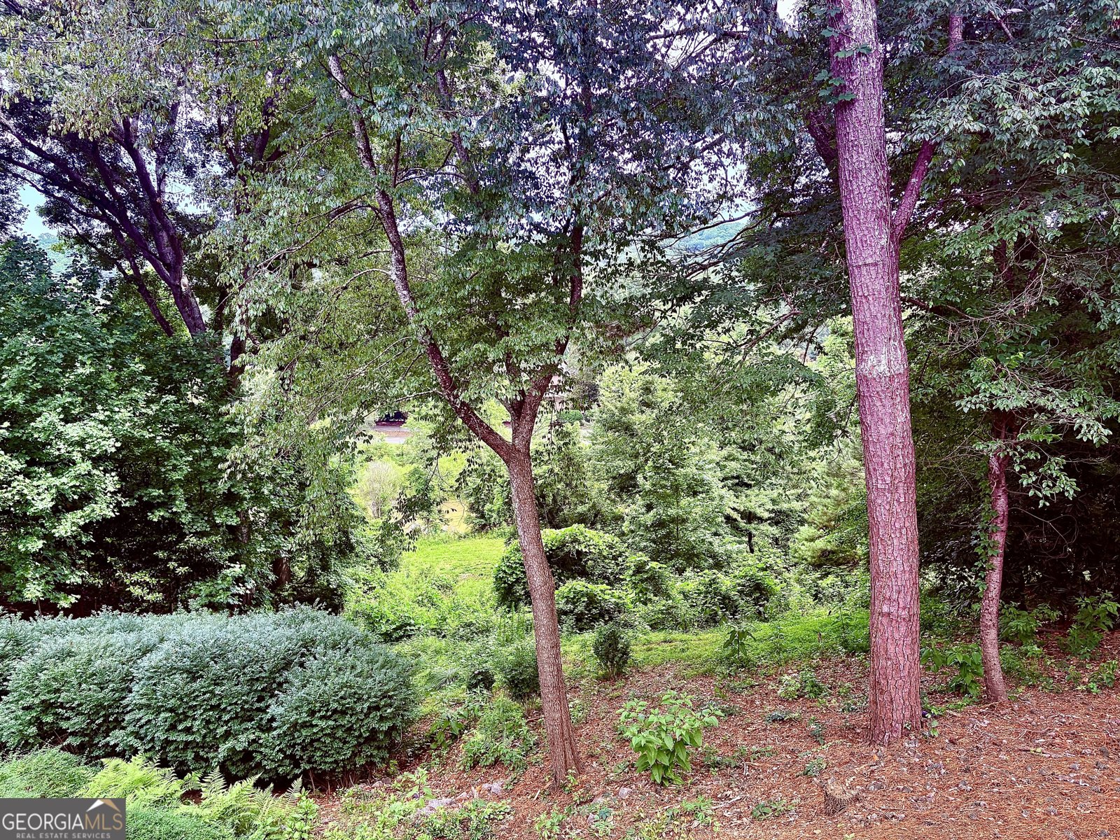 1308 Riverview Drive Marietta - Photo 18