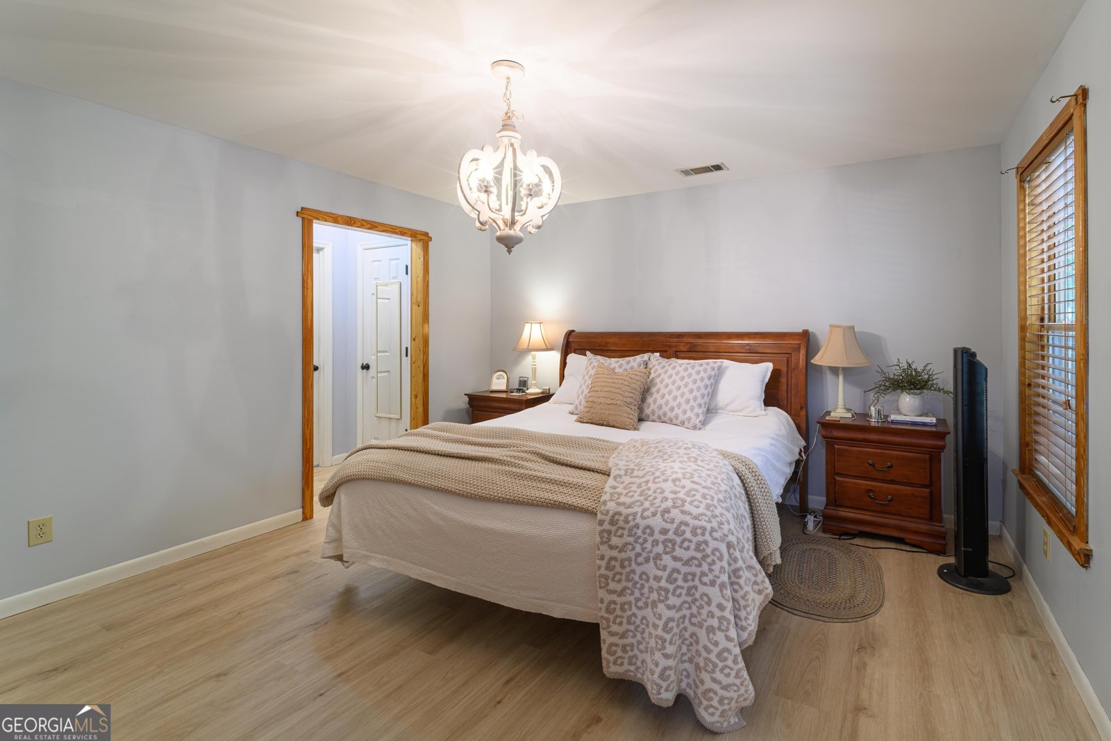 159 Hutchinson Lake Road Senoia - Photo 12