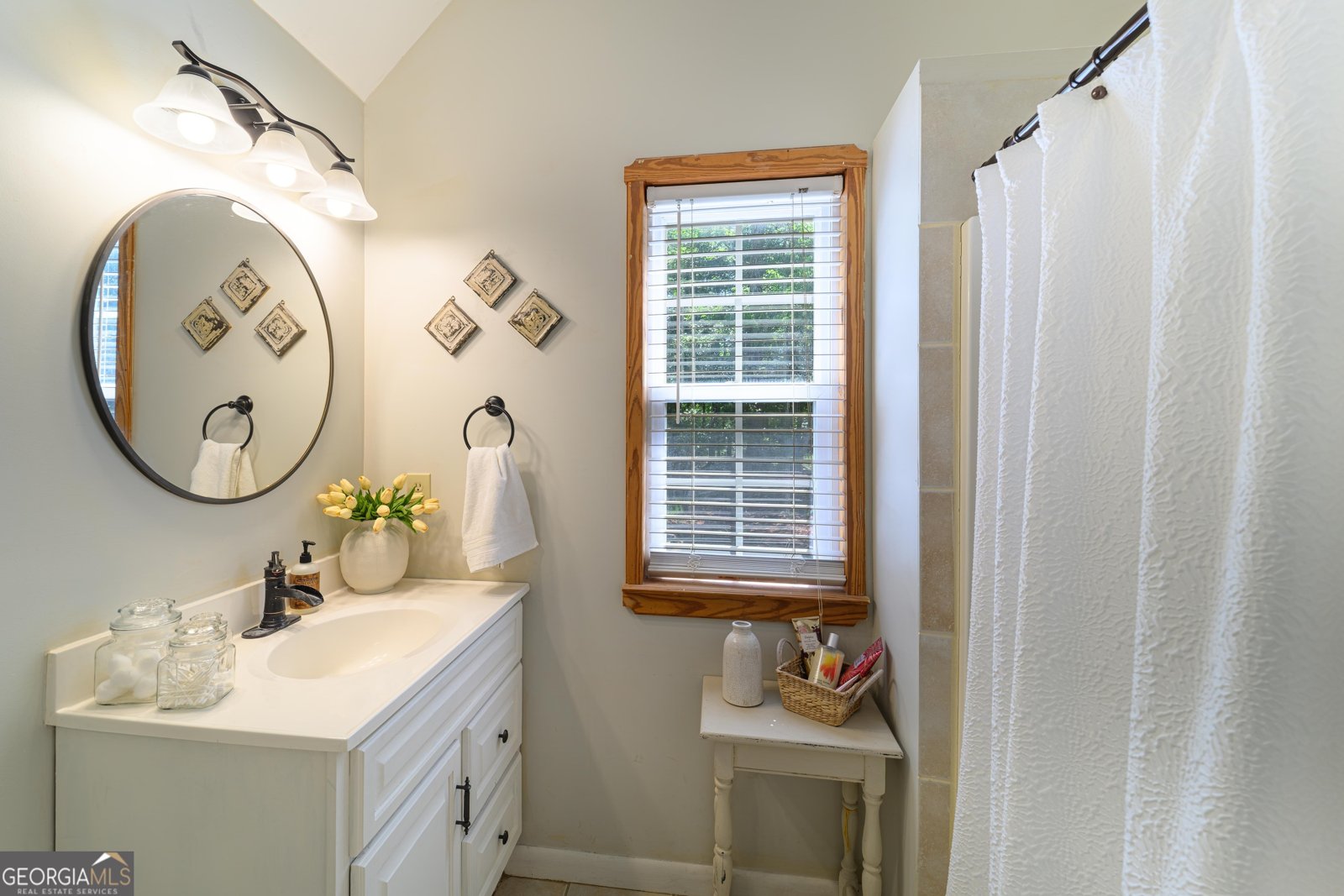 159 Hutchinson Lake Road Senoia - Photo 14