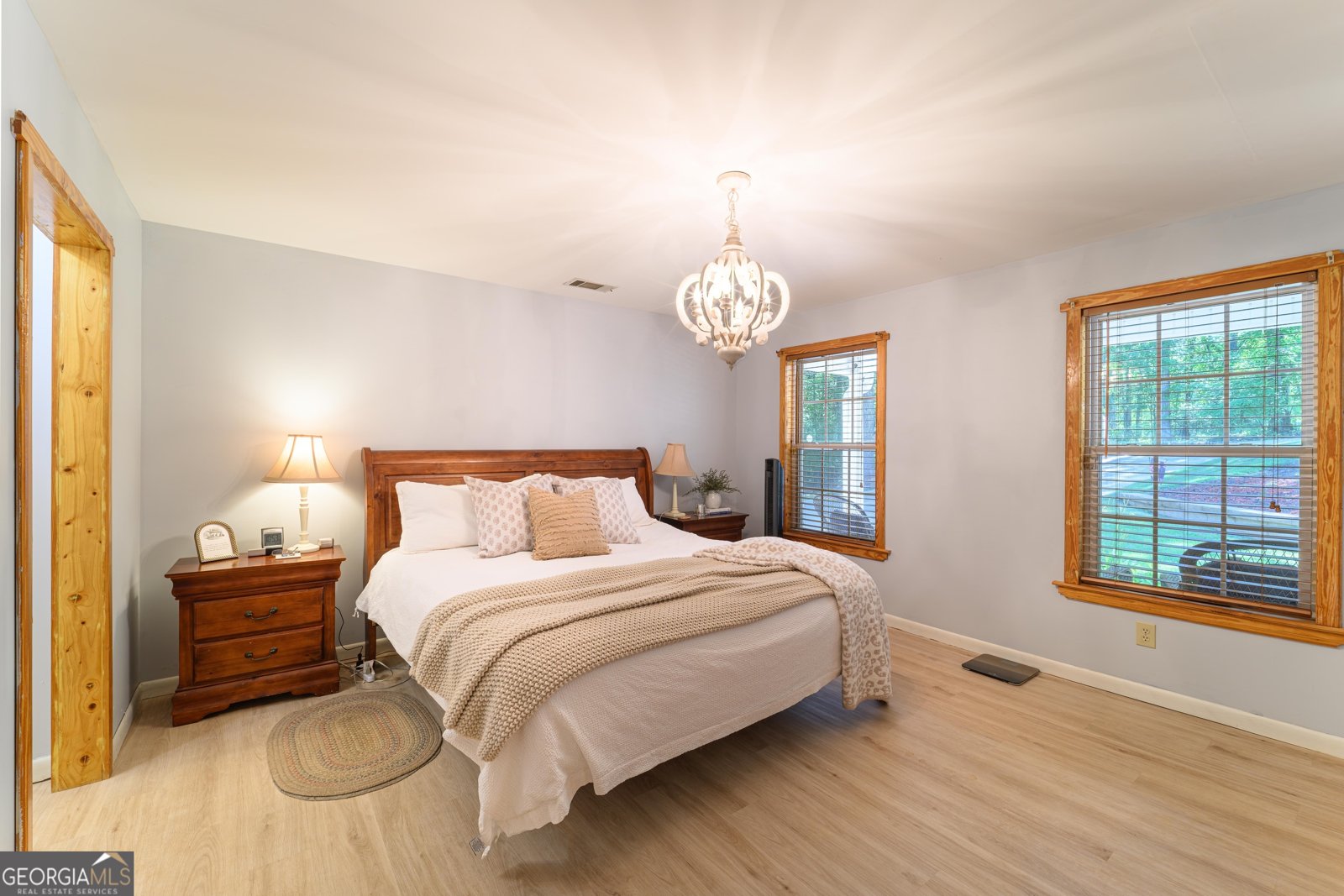 159 Hutchinson Lake Road Senoia - Photo 9