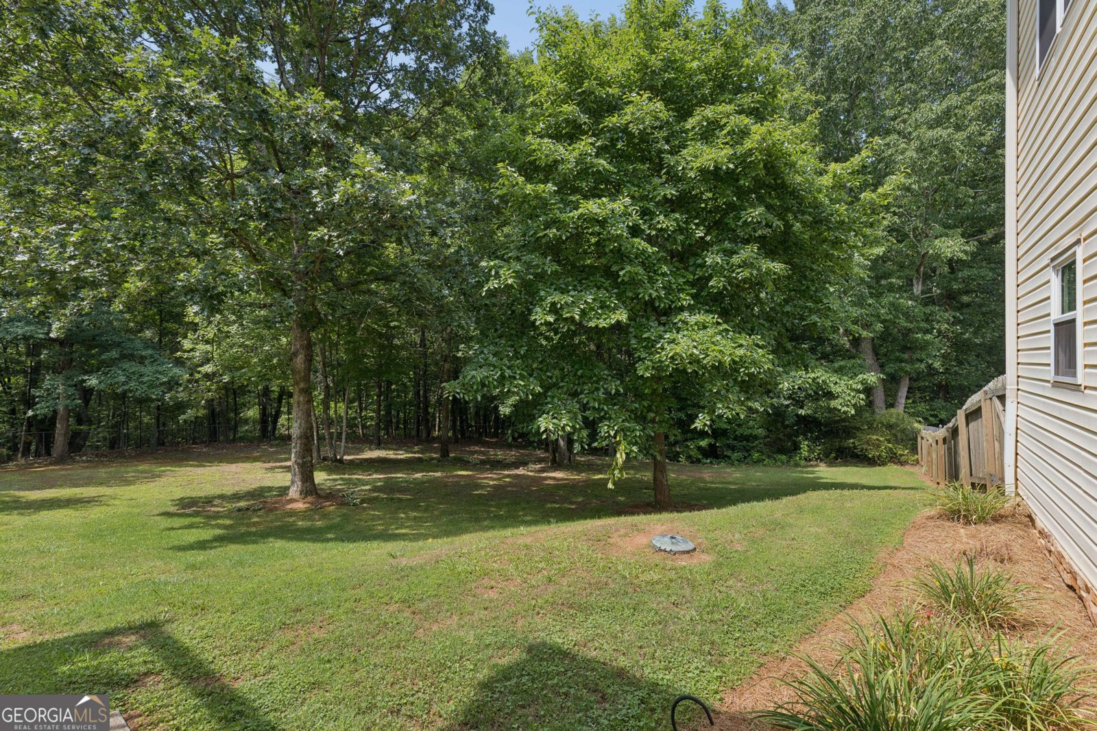 121 Chestnut Hill Drive Canton - Photo 37