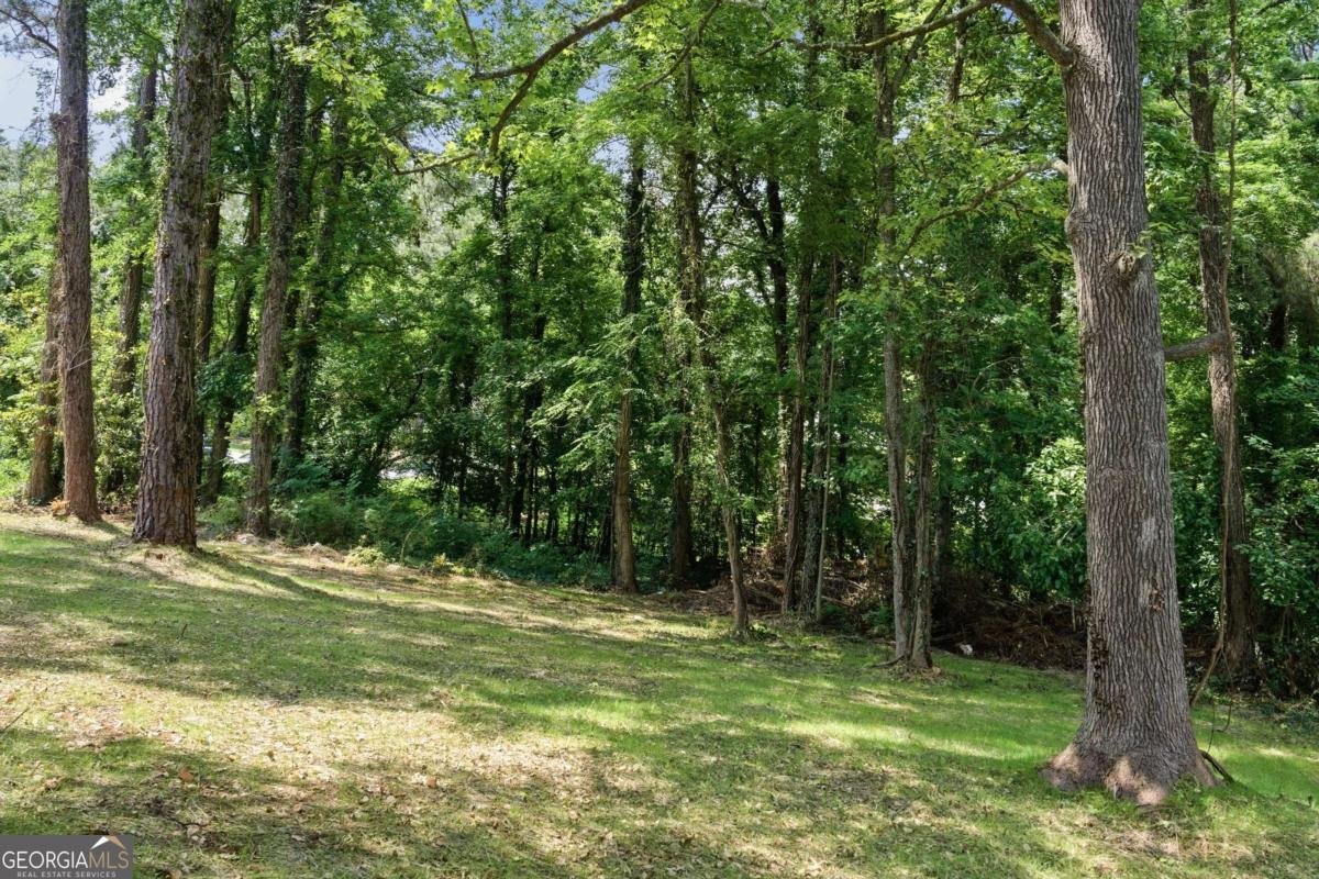 3131 Woods Lane Marietta - Photo 31