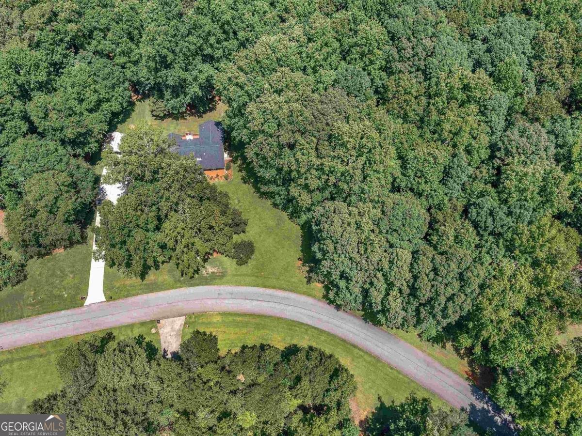 280 Deer Trace Drive Mcdonough - Photo 40