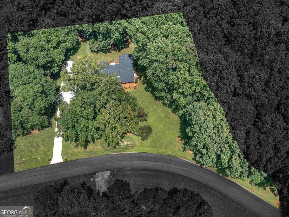 280 Deer Trace Drive Mcdonough - Photo 41