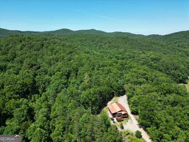 32 Ivey Ridge Road Suches - Photo 10