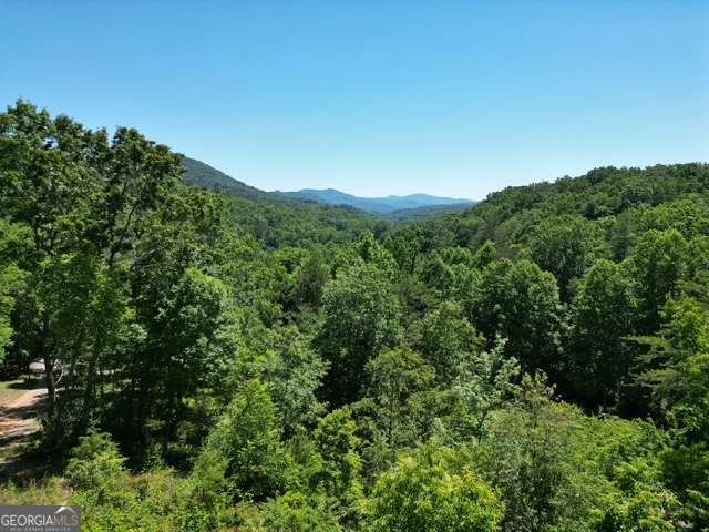 32 Ivey Ridge Road Suches - Photo 7