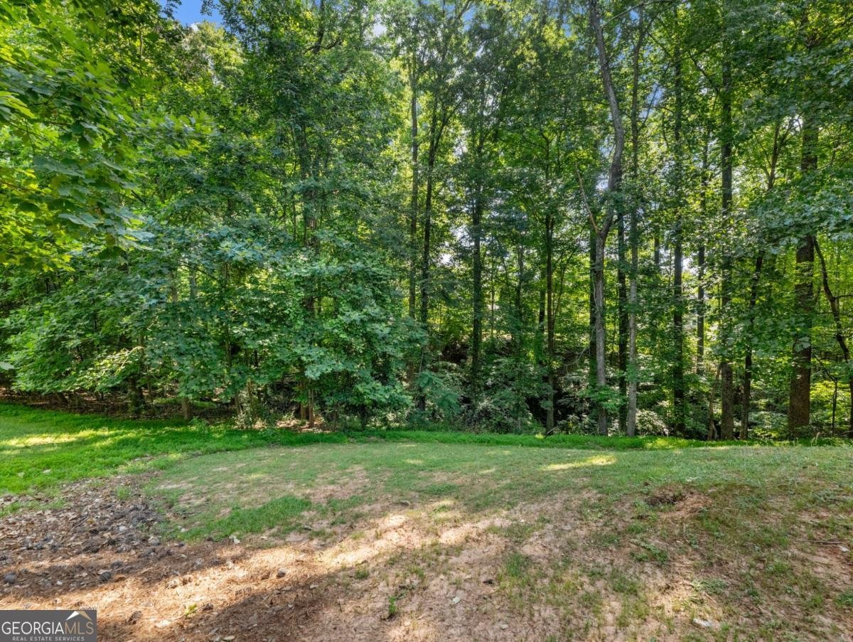 530 Old Preston Trail Johns Creek - Photo 45