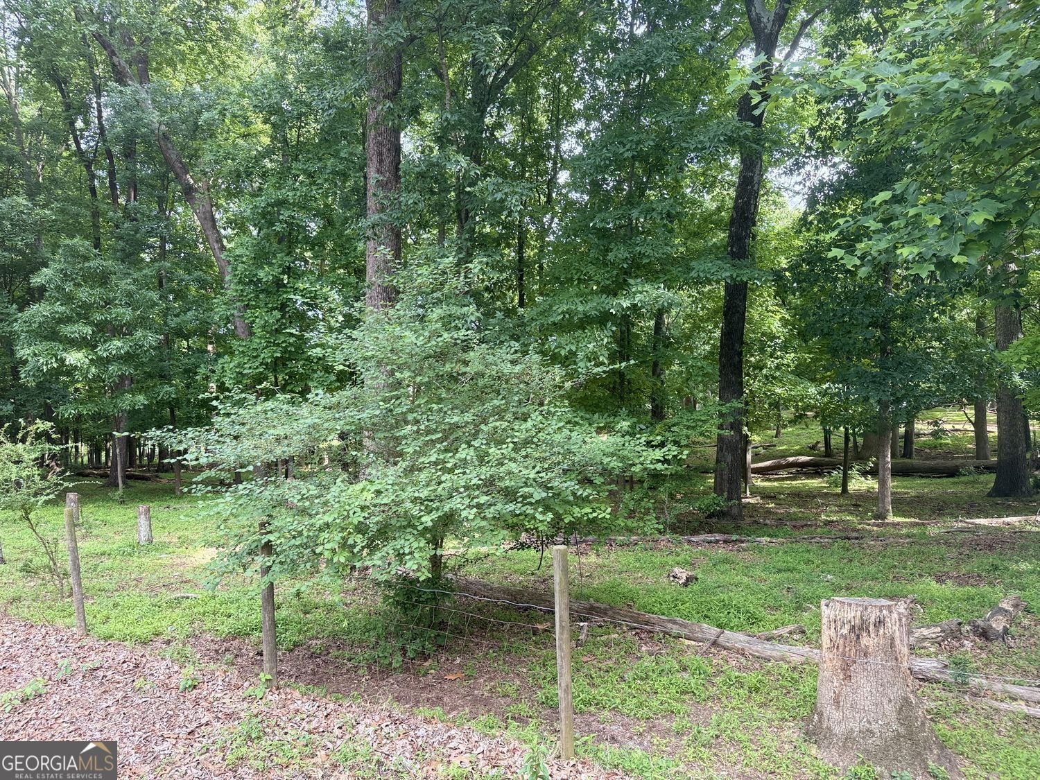 4580 Hopewell Road Cumming - Photo 29