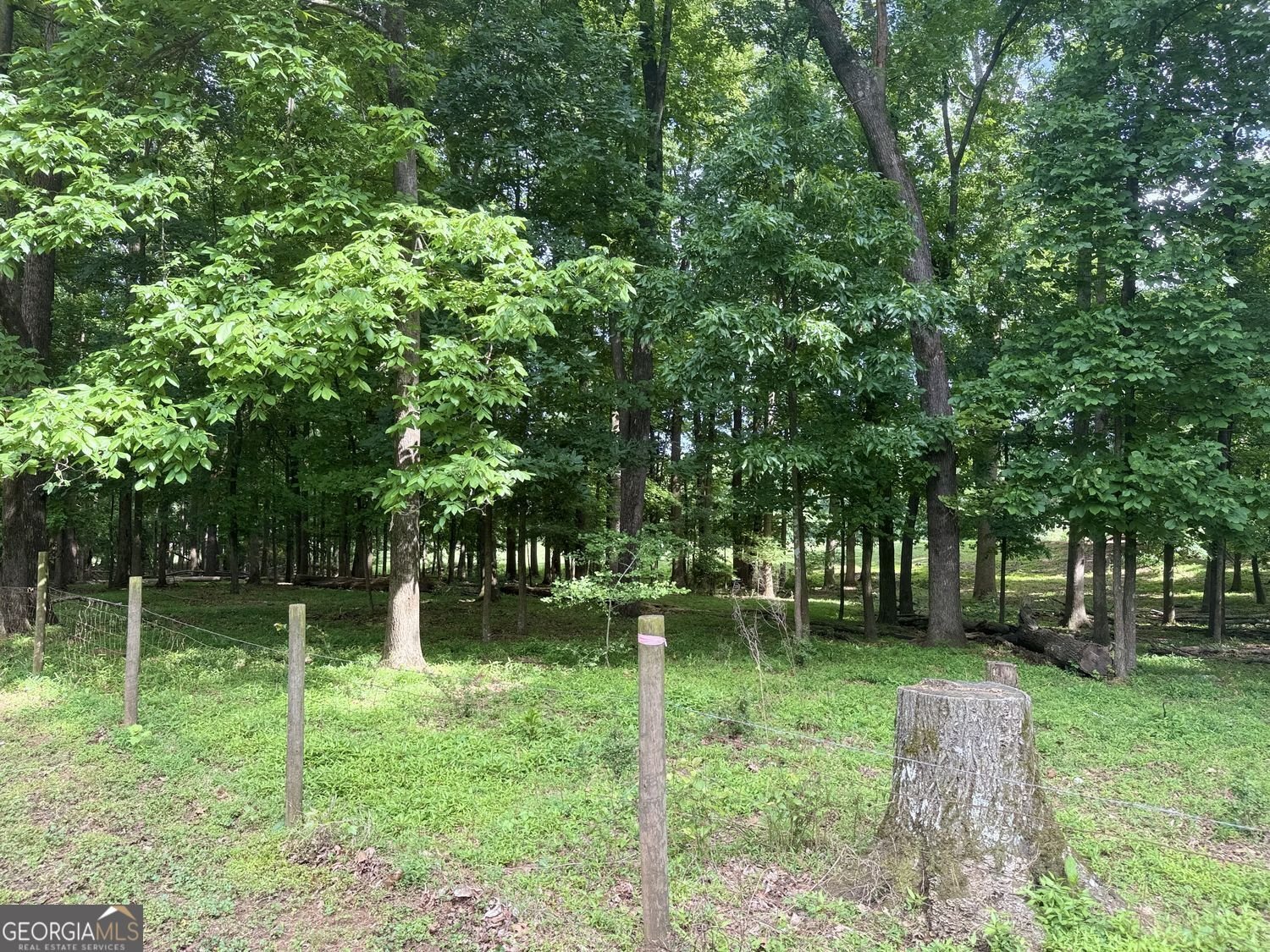 4580 Hopewell Road Cumming - Photo 30