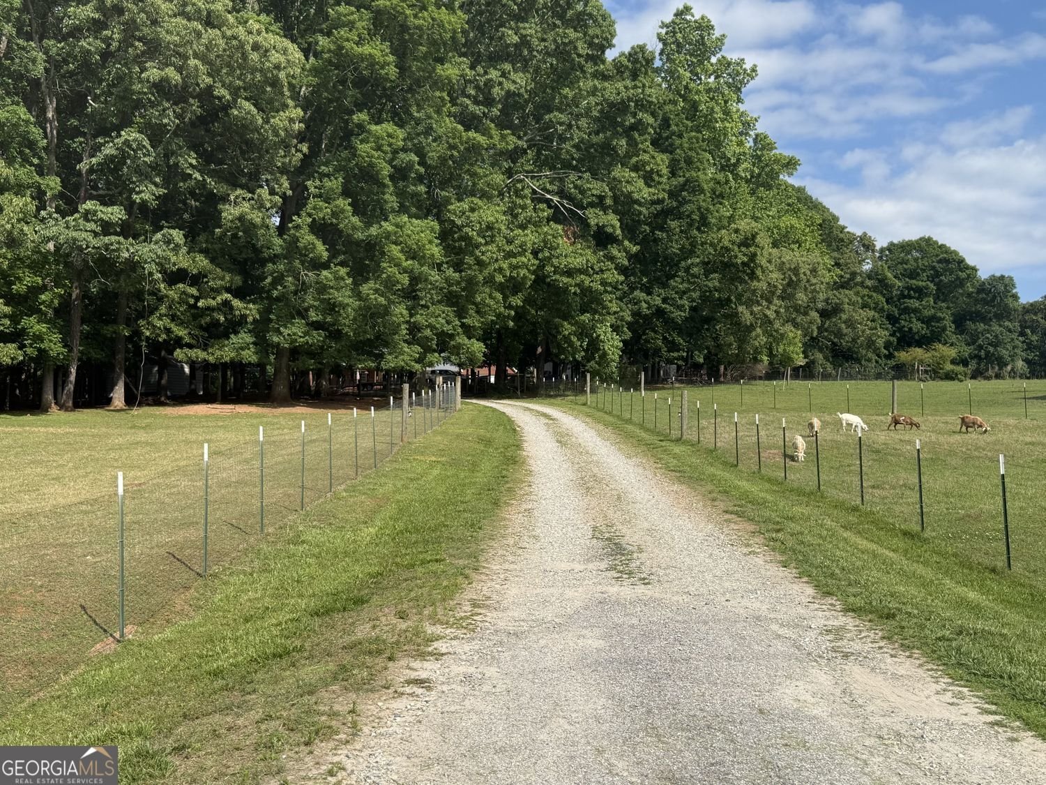 4580 Hopewell Road Cumming - Photo 48