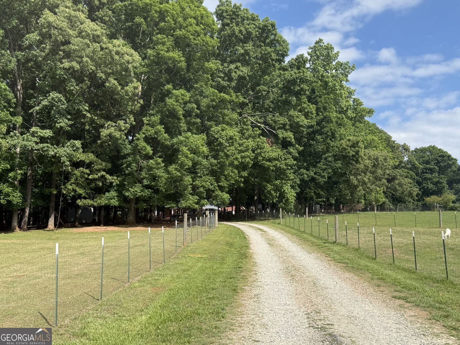 4580 Hopewell Road Cumming - Photo 49