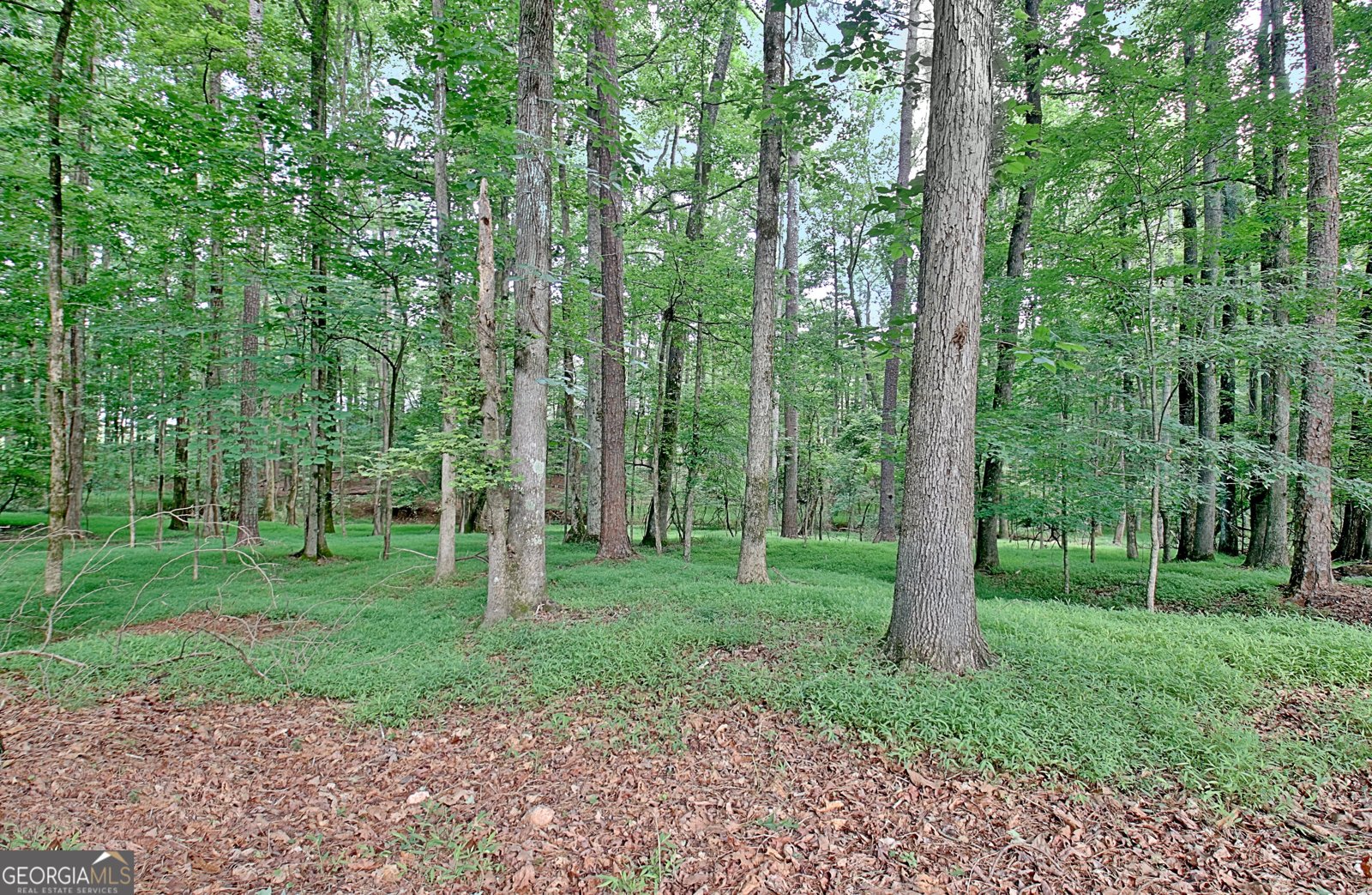 140 Wendell Court Fayetteville - Photo 60