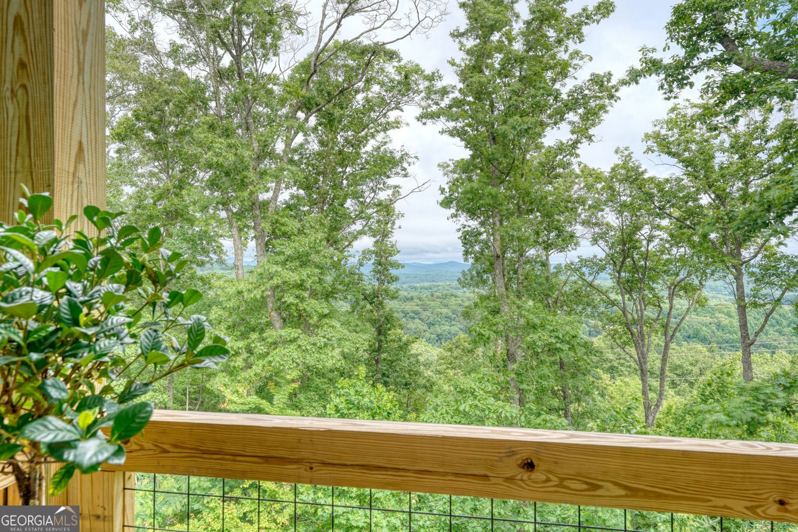 514 Winding Ridge Blairsville - Photo 71