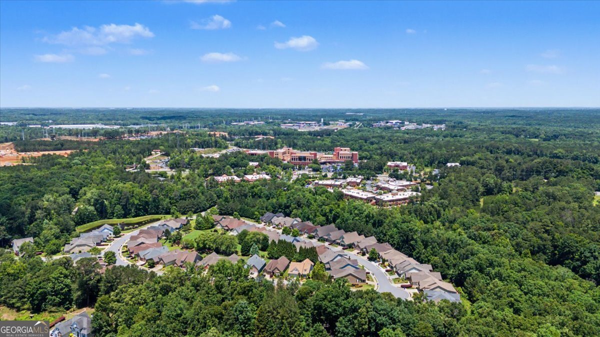 365 Grand Teton Cir Fayetteville - Photo 49