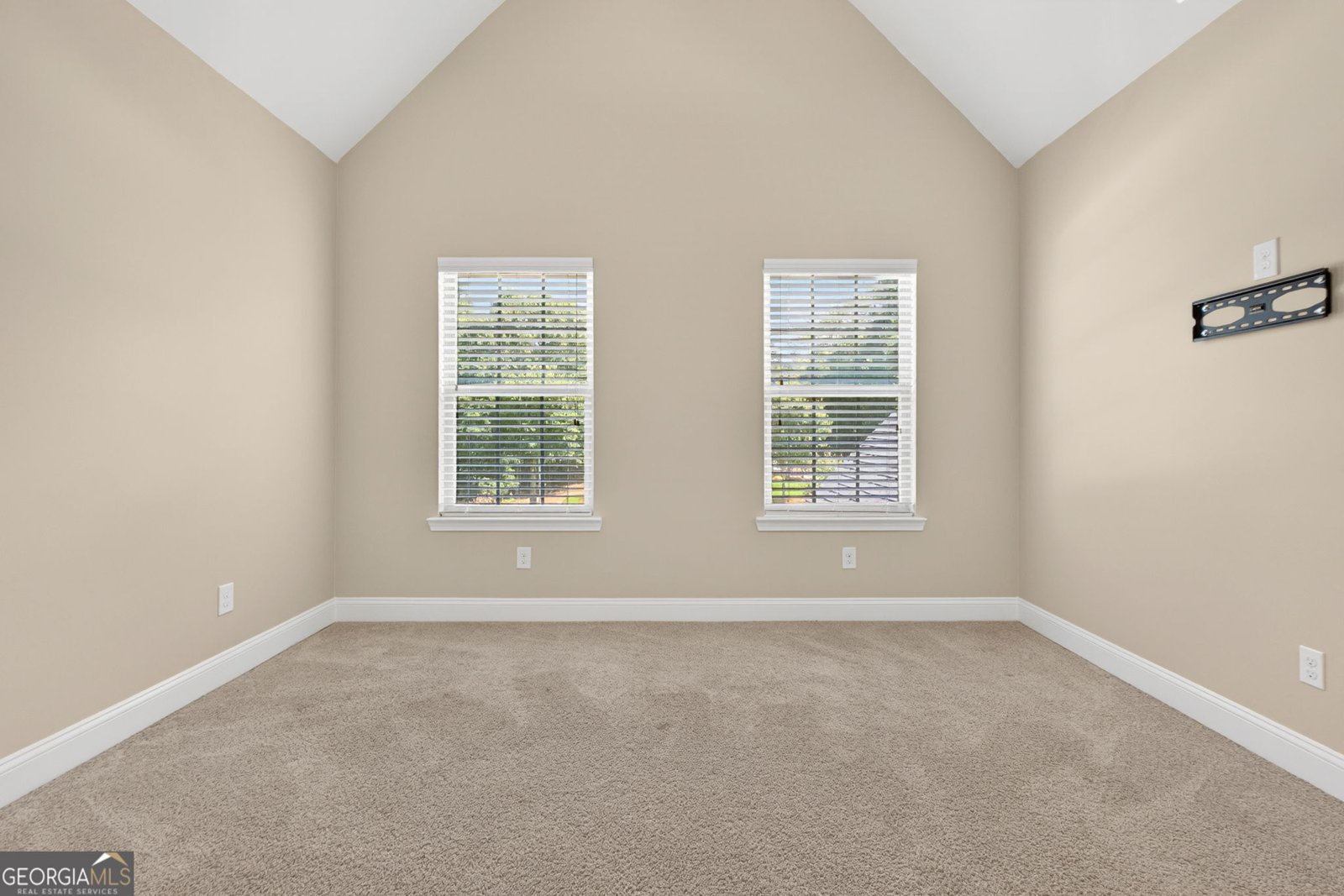 117 Jaclaire Lane McDonough - Photo 49