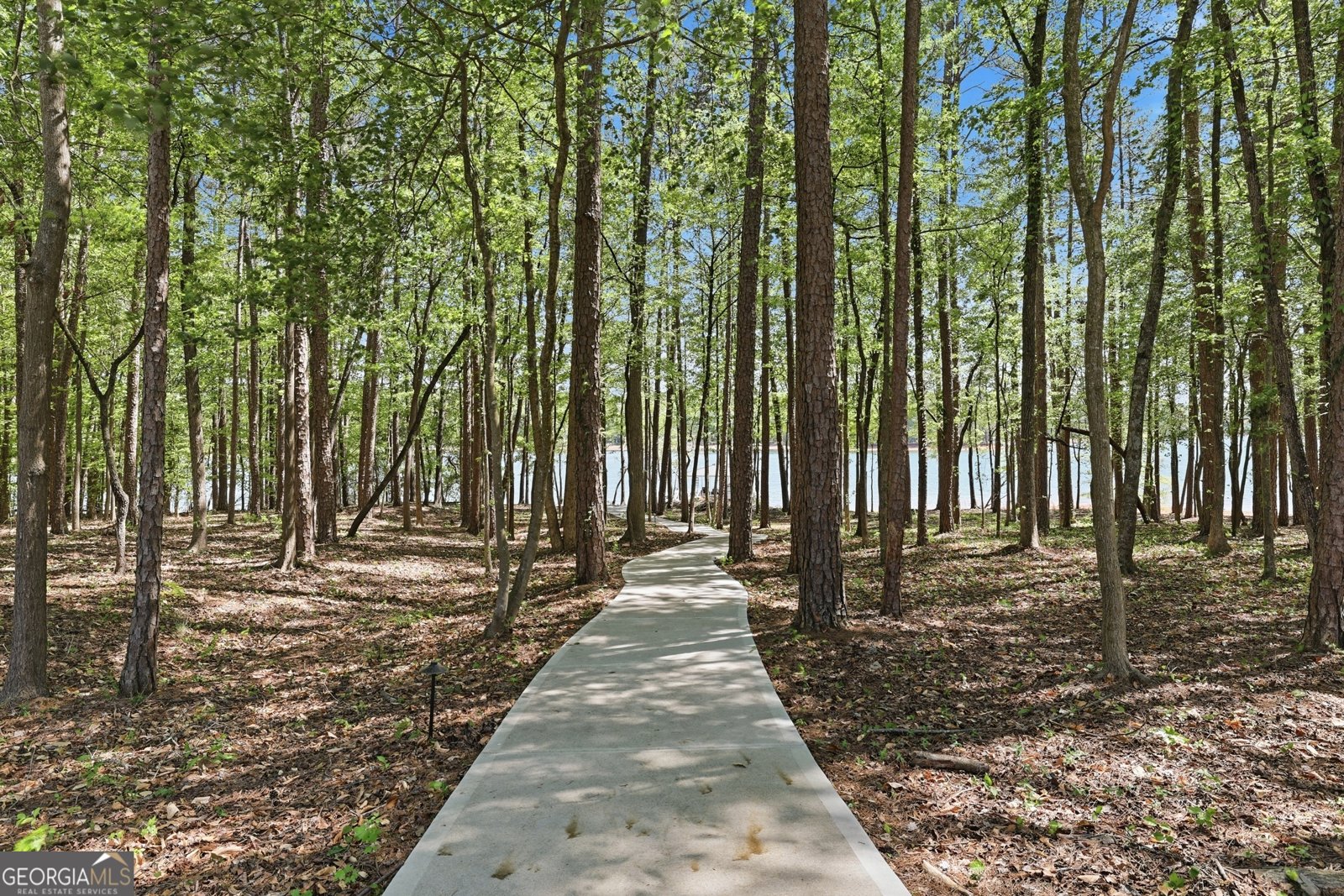340 Foxy Lane Martin - Photo 34
