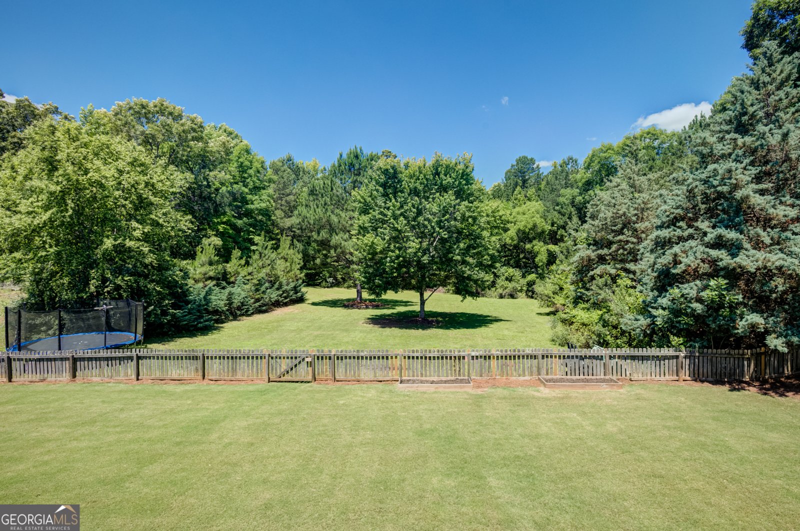 221 Chasewood Lane Senoia - Photo 6