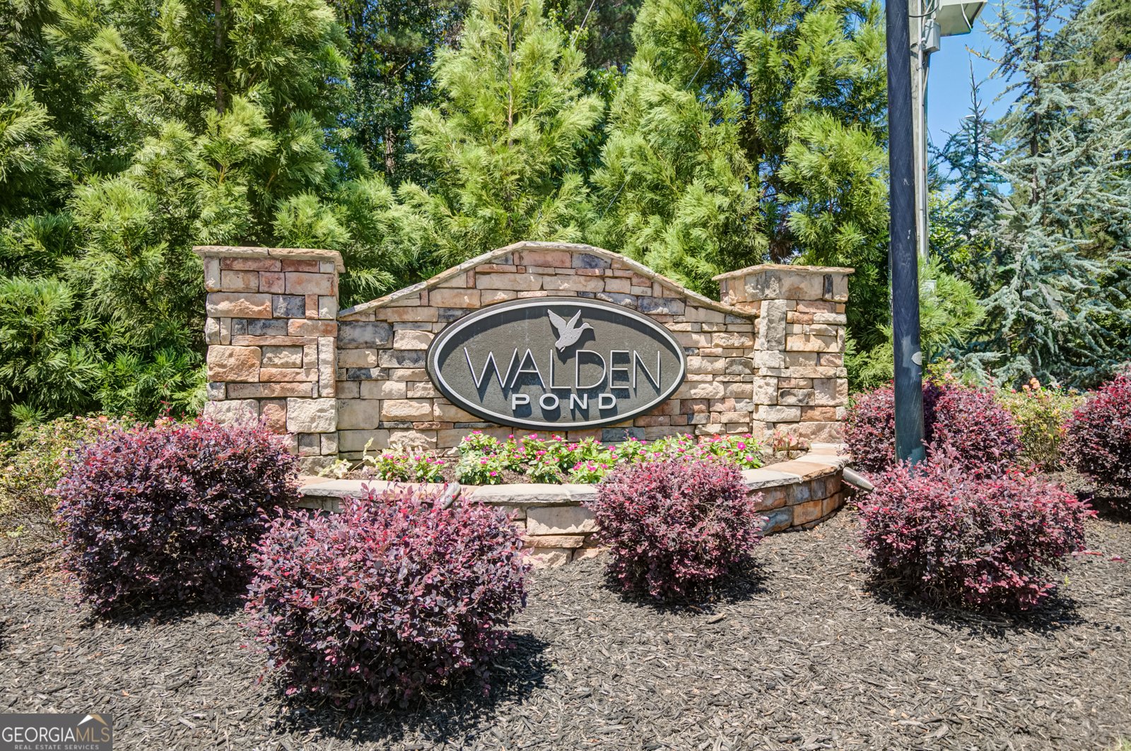 221 Chasewood Lane Senoia - Photo 80
