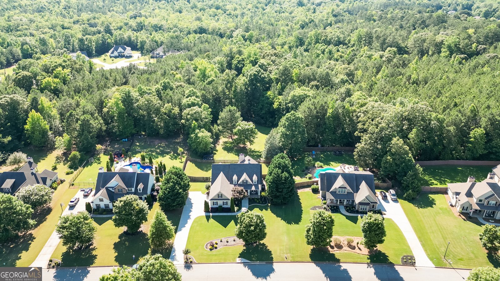 221 Chasewood Lane Senoia - Photo 81