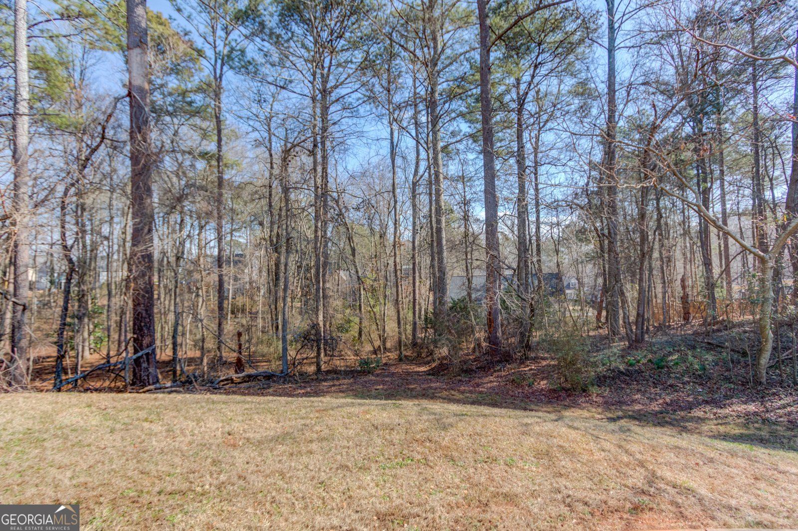 115 Sweet Auburn Lane Dacula - Photo 59